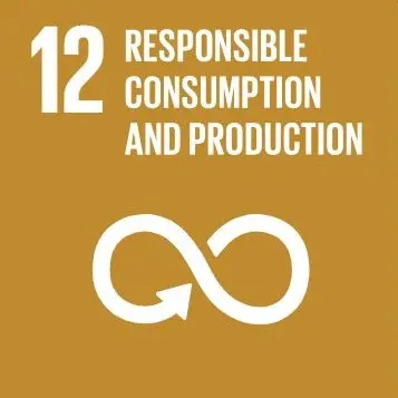 Icon for global goal  12 Responsible Consumption and Production