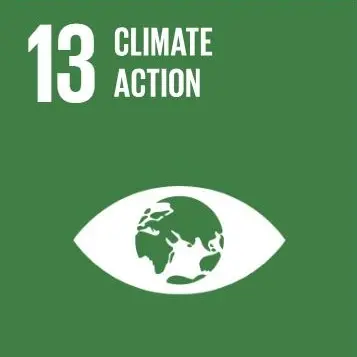 Icon for global goal 13 Climate Action