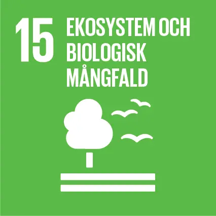 Ikon för FN:s globala mål 15 Ekosystem och biologisk mångfald