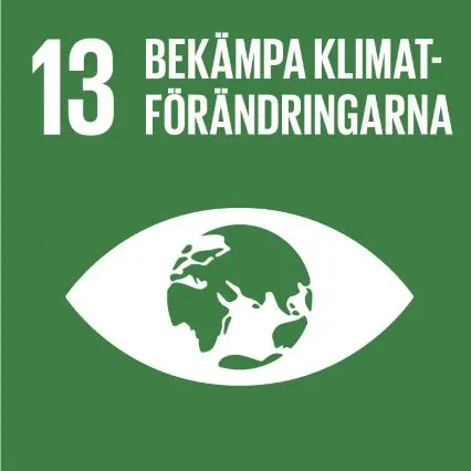 Ikon för FN:s globala mål 13 Bekämpa klimatförändringarna
