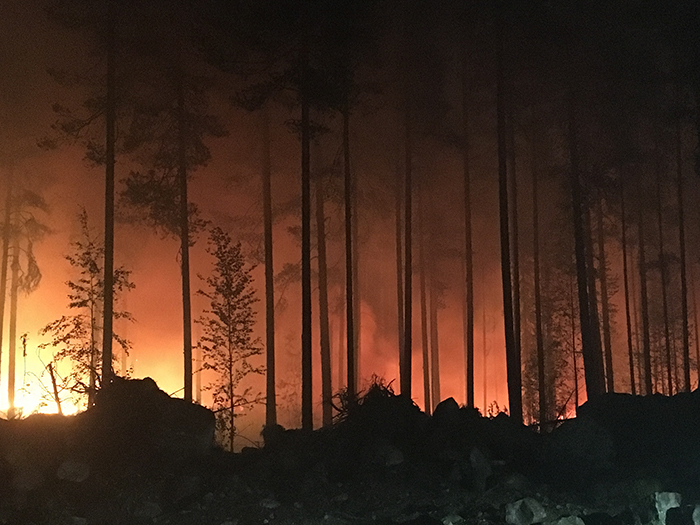 Skogsbrand i Hälsingland i somras.