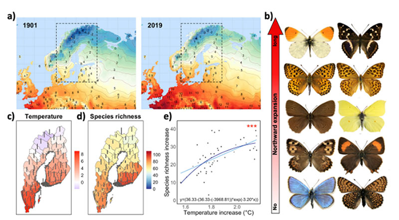 Changes in species richness and temperature from 1901 to 2019
